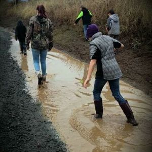 Meet your Posher, Robin